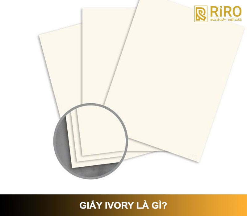 Giấy ivory là gì?