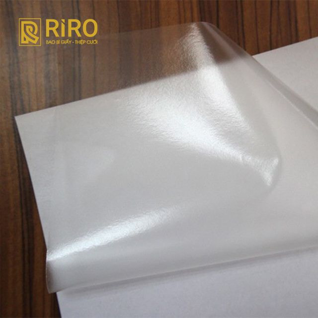 Decal PVC nhựa trong