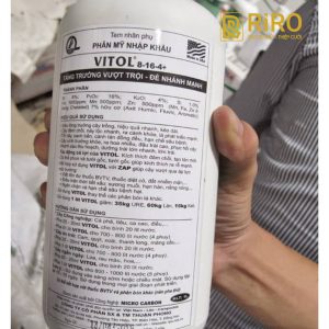 tem phụ là gì